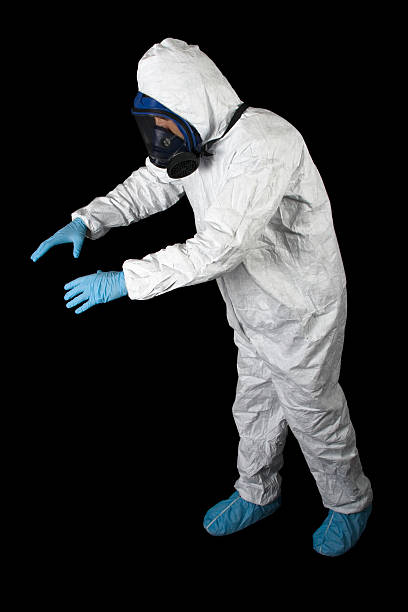 North Key Largo, FL Mold Removal Company